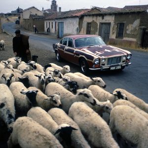 A shepherd in Sahagún.