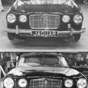 Later iterations - now approximating to the eventual XJ. The grille has an oval, diminishing in size over time and ultimately disappearing.